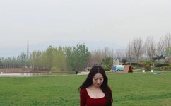 五星大饭店下载